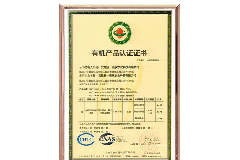 资质证书