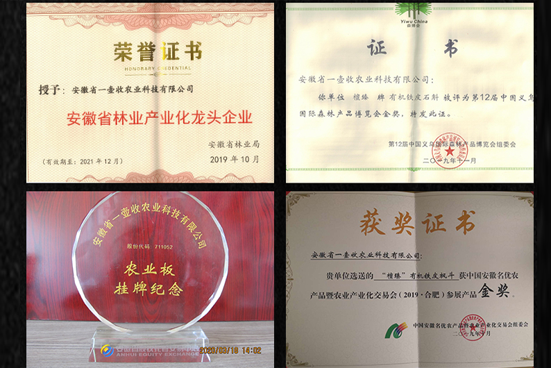资质证书