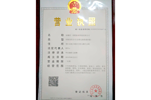 资质证书
