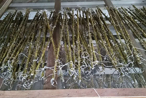 加工过程