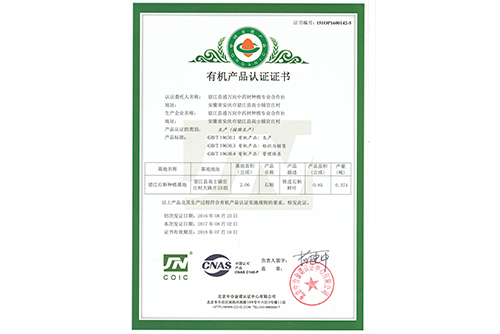 资质证书
